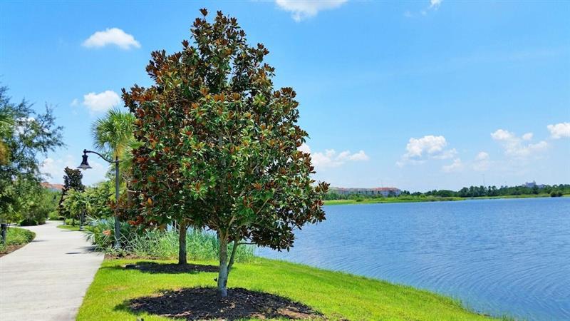 Vista Cay 1 Villa Orlando Kültér fotó